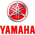 Ampoules pour YAMAHA DT 125  (AT2)