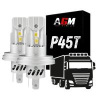 P45T R2 LEDバルブおよびトラック用P45T R2 LEDキット