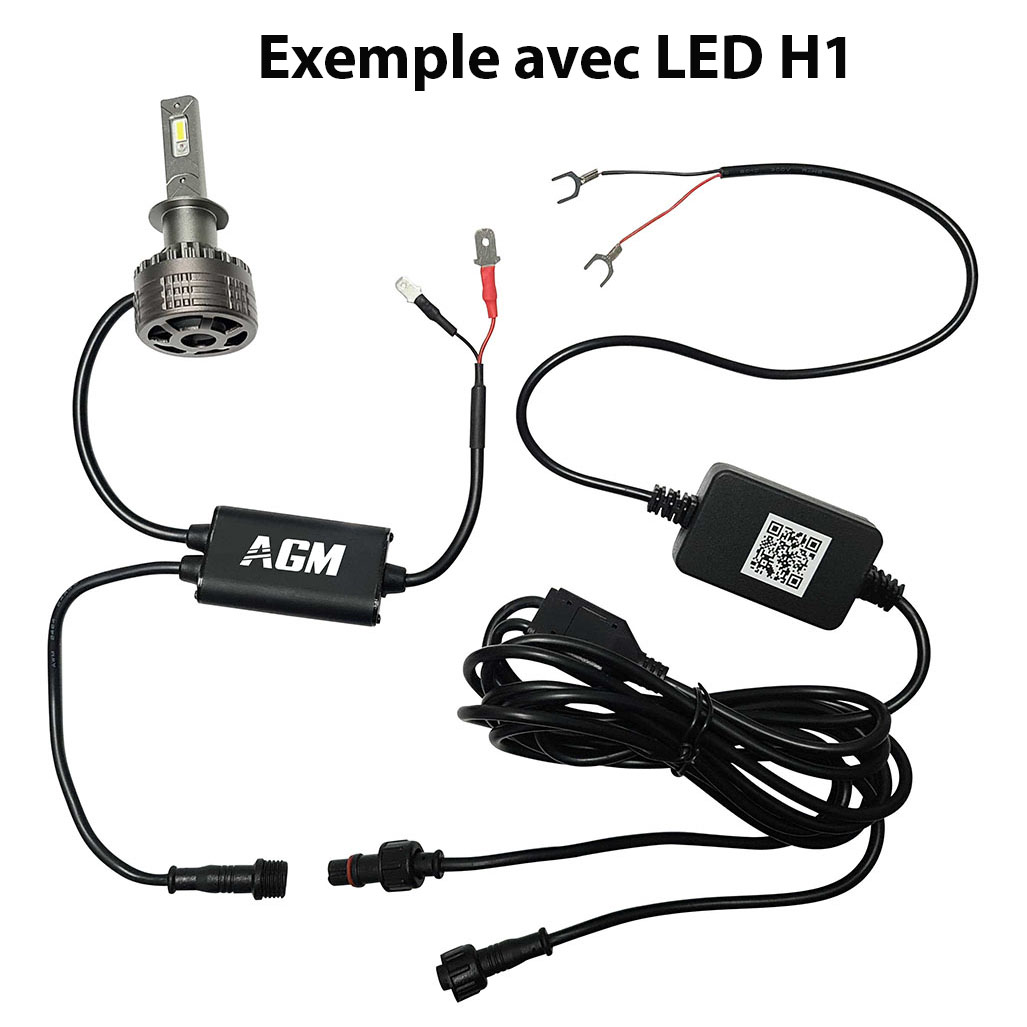 Kit Ampoules LED H8 DEMON RGB