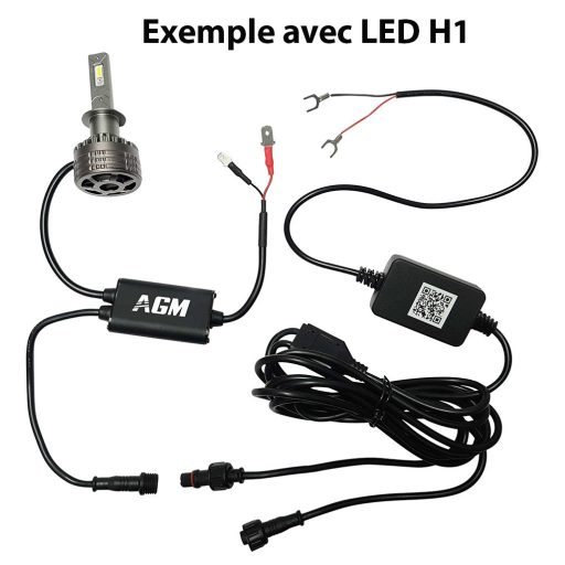 Kit Ampoules LED H16 DEMON RGB
