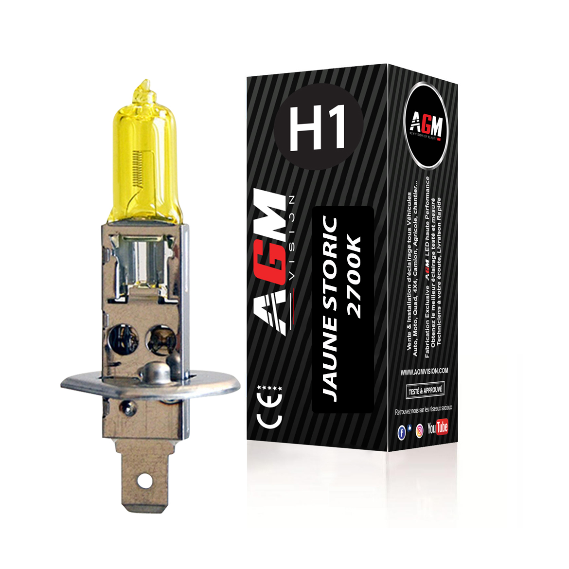 H1 12V 55W 5000K Lumière Ampoule Halogène Super Puissant Lampe Pour Feux de  Voiture - Feu De Brouillard de Jour DRL (2pcs)