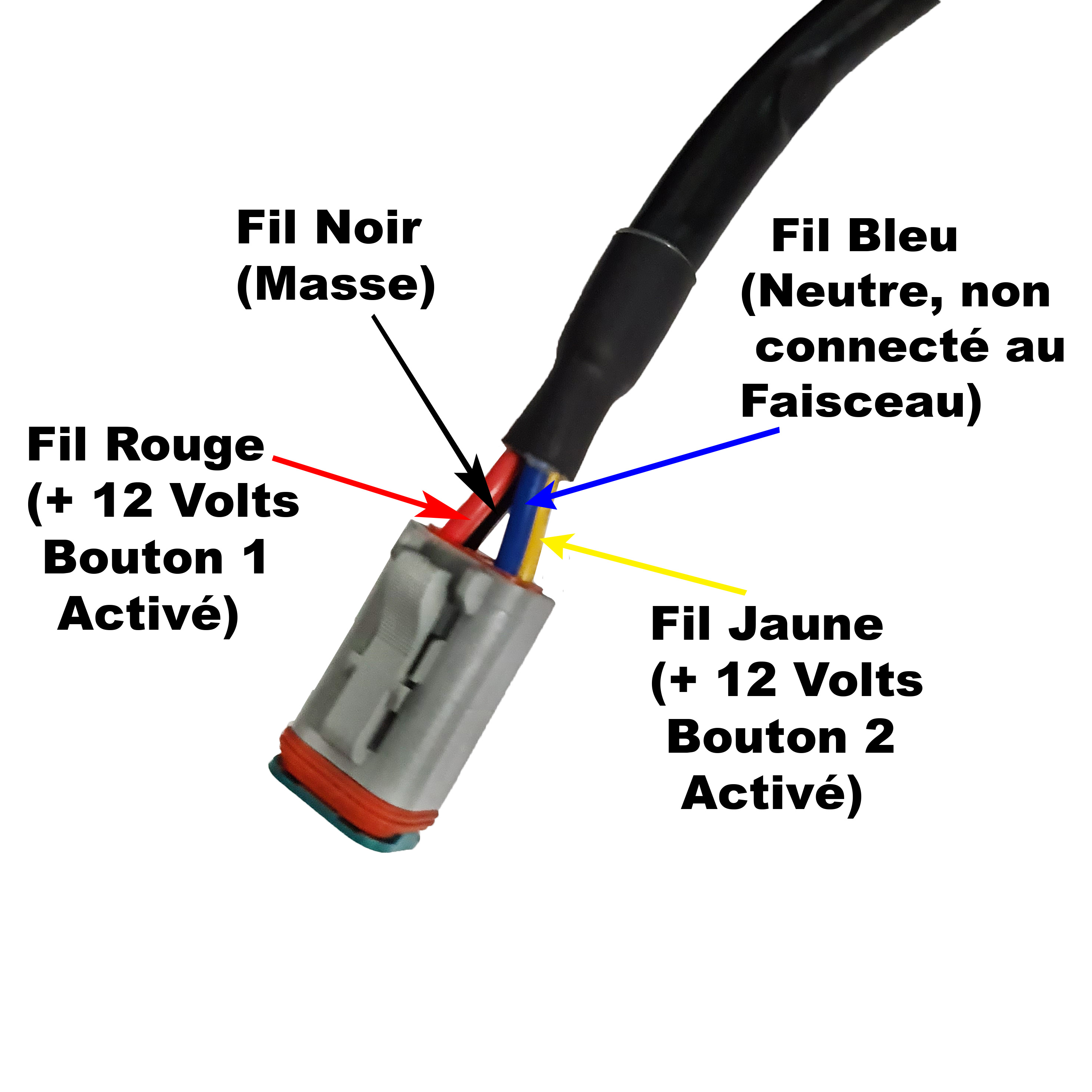 Faisceau Electrique relais pour Barre LED - 2 voies DT - Interrupteur  2D163C - Connecteurs DT et interrupteur fournis - France-Xenon