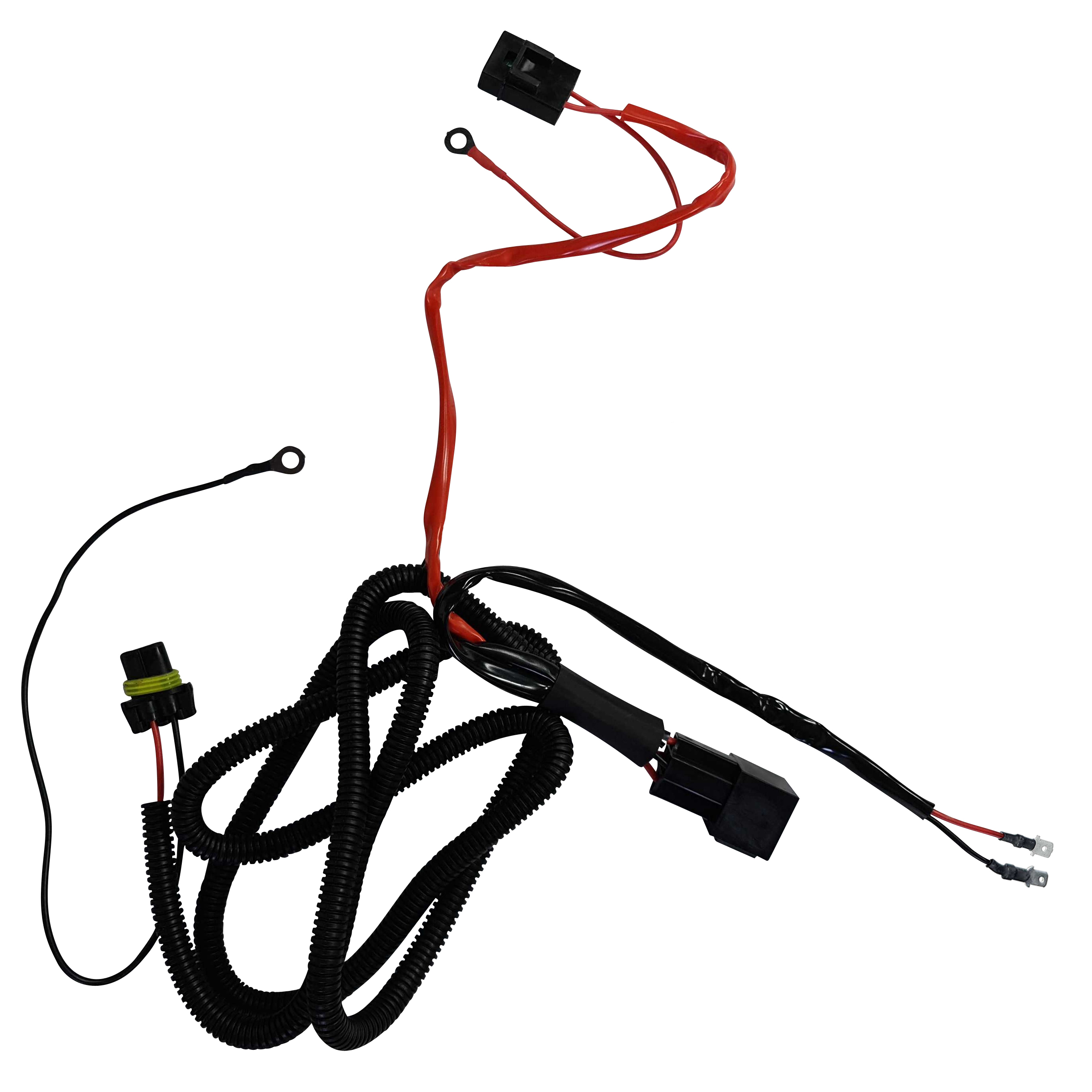 2 x Faisceaux Installation Xénon H1- Compatible 35W à 100W