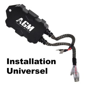 Imagen de MÓDULO ANTI-FLASH-BUG Universal