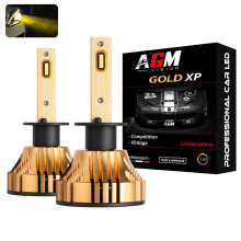 Kit Ampoules LED H1 GOLD XP