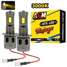 Kit Ampoules LED H3 VINTAGE GTS