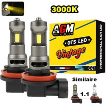 Kit Ampoules LED H8 VINTAGE GTS