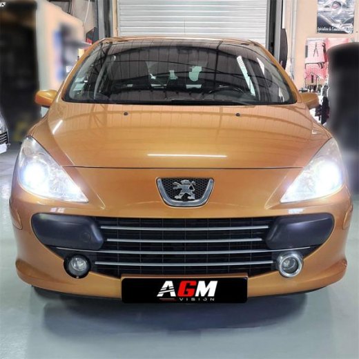 プジョー307 2000年～2009年用 LEDロービームパック（H7バルブ付き）