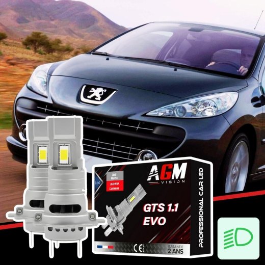 PEUGEOT 207 / 207+ ロービーム用LEDキット