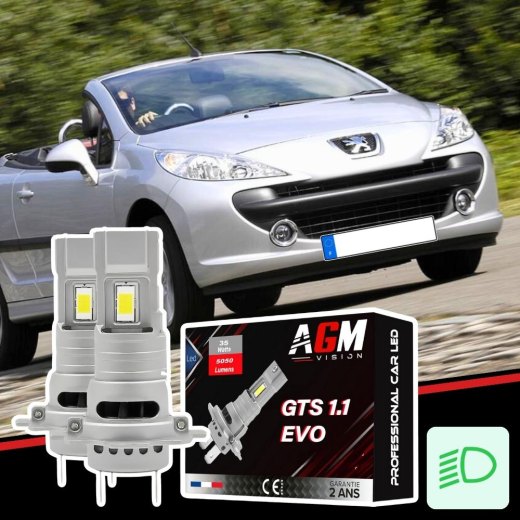 Kit LED luces de cruce PEUGEOT 207 CC