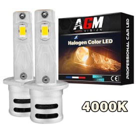 Kit ampoules LED H1 VINTAGE GTS EVO R60W - Halogen Color 4000K- Ventilé