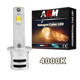 Ampoule LED H1 VINTAGE GTS EVO R30W - Halogen Color 4000K