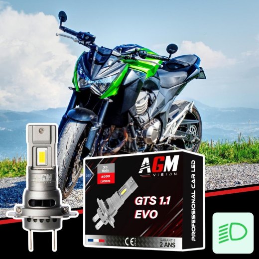 Lampadina LED anabbagliante per Kawasaki Z800