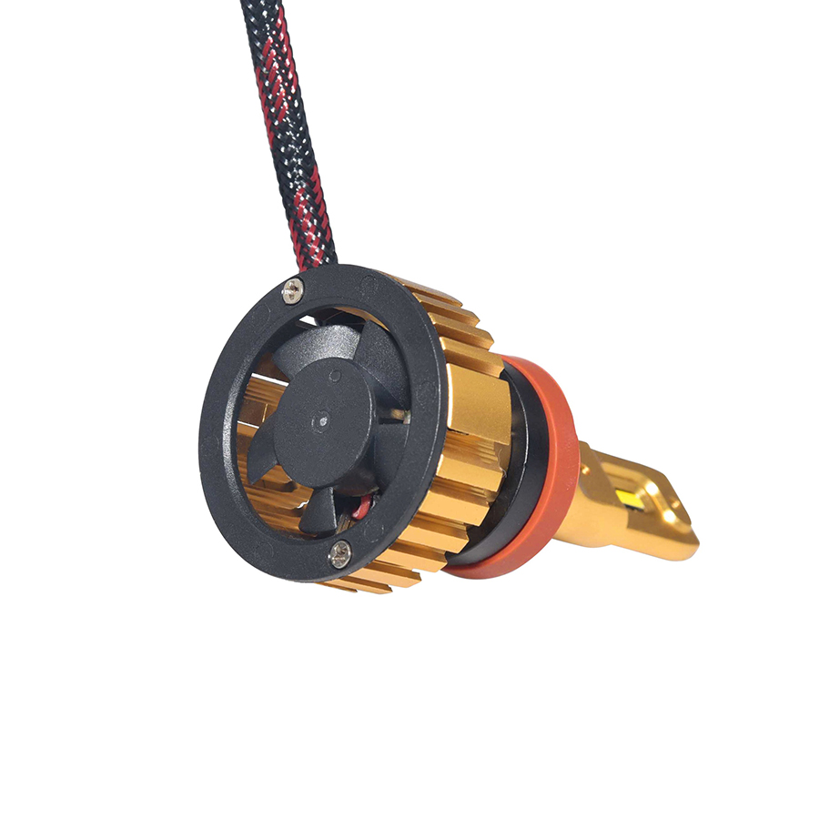 Kit Ampoules LED H16 GOLD XP