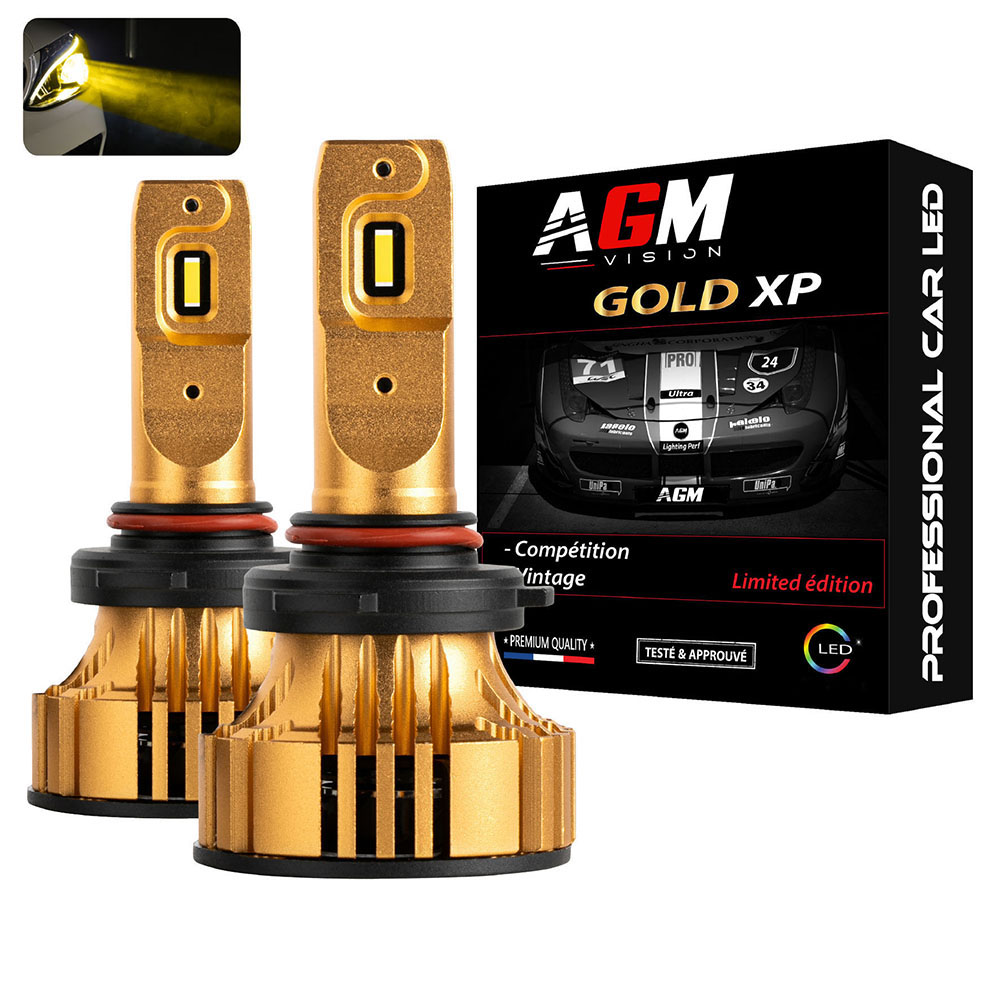 Kit Ampoules LED H10 GOLD XP