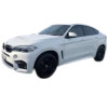 LED-lampen voor BMW X6 (F16, F86)