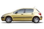 Ampoules LED pour PEUGEOT 307