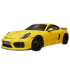 Ampoules LED pour PORSCHE Cayman (981)