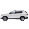 Éclairage LED pour SSANGYONG Rexton W