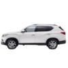 Ampoules LED pour SSANGYONG Rexton W