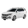 Ampoules LED pour SSANGYONG Stavic