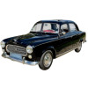 Lampadine LED per PEUGEOT 403