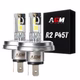 R2 BULB-EUROPEAN CODE-P45T LED