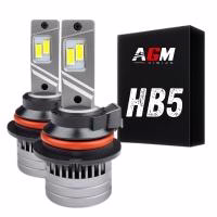 Kits et ampoules LED HB5 9007
