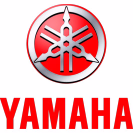 Lampadine LED per YAMAHA XV 1600 A (VP081) Lampadine LED per YAMAHA XV 1600 A (VP081)