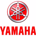 LED-Lampen für YAMAHA WR 250 R (DG20)