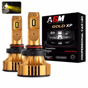 LEDバルブキット H10 GOLD XPの画像