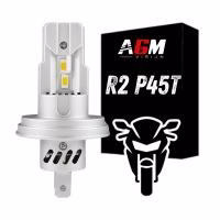 LED-lamp R2 P45t Europese code voor motorfiets