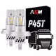 LED-LKW-Lampen P45T R2