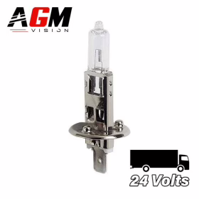 Bild von Halogenlampe H1 70W STANDARD ST PRO - 24 Volt
