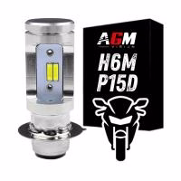 H6M P15d LED bulb for motorcycle