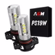 PS19W LED bulb